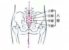 私密回春管理系统-昕蝶欧徒手私密培训班