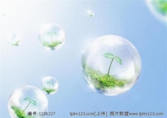 临沂宣传页、名片设计用哪款软件好，培训班哪家专业