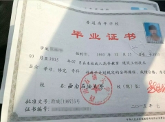 Ĵ2019˸߿ѯ