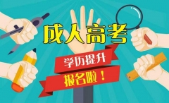 2019˸߿ ѧ ¼ȡٽѧ