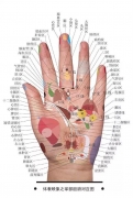 360ȫʳ֡һѧͻᣬ0彡