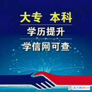 СԿԴרҵγ̣רƣ뱨