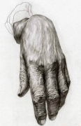 趼ѧЩݣѵѧУļҺ