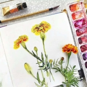 临沂水彩插画培训学校，暑假美术画室哪个好