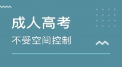 ˸߿ β
