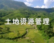 ԴƱҵʲô