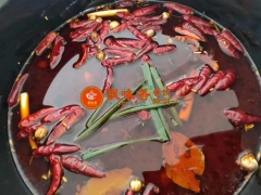 ϻϵϳƼѵ