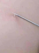 ë