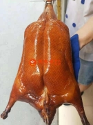 ѧϰѼǮѼ
