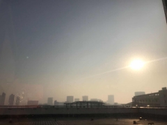 ʡ2020һơרת
