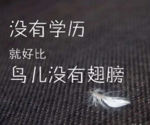 ҿŴѧԶ̽ȫй